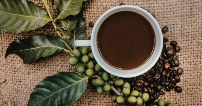 leet coffee