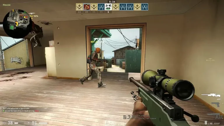 CS2 Stats